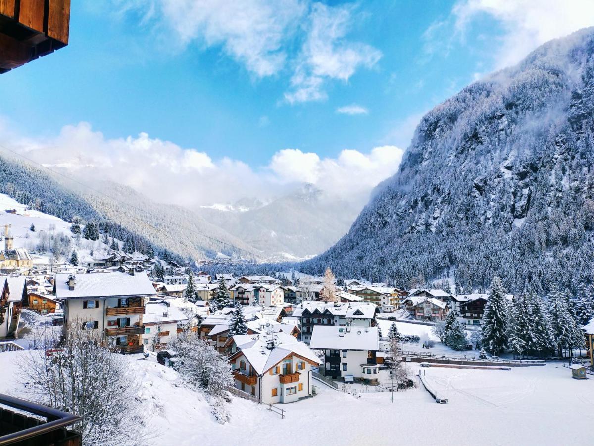 Cesa Cherpei - Dog Friendly Кампителло-ди-Фасса Экстерьер фото