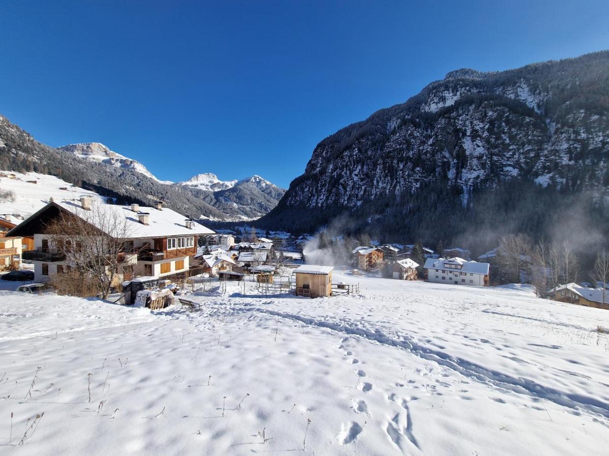 Cesa Cherpei - Dog Friendly Кампителло-ди-Фасса Экстерьер фото