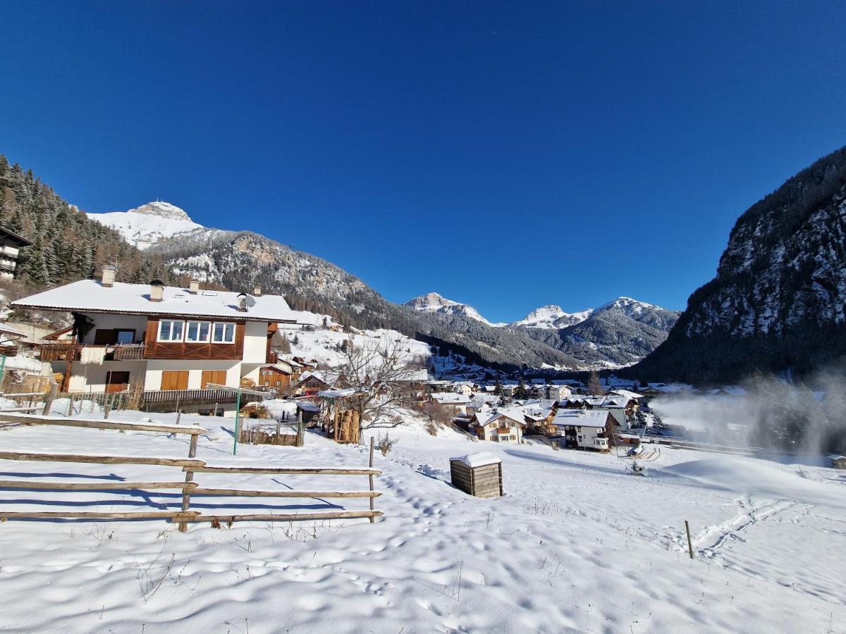 Cesa Cherpei - Dog Friendly Кампителло-ди-Фасса Экстерьер фото
